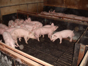 Melrose Farm, Melbourne, North Yorkshire