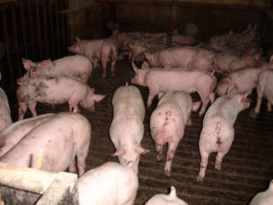 Melrose Farm, Melbourne, North Yorkshire