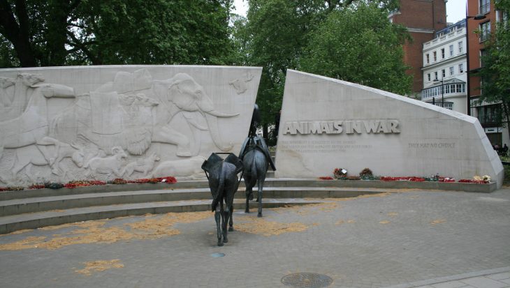 Animals in War Memorial licenced under Creative Commons 2.0 Flickr user gelle.dk