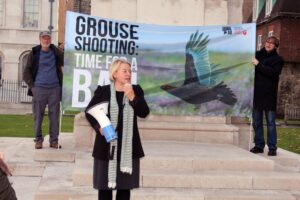 Rally outside Parliament against grouse shooting 2016