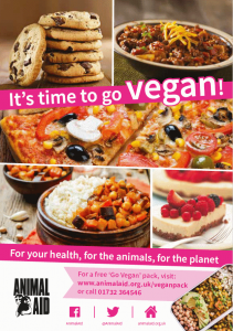 It's Time to Go Vegan leaflet cover