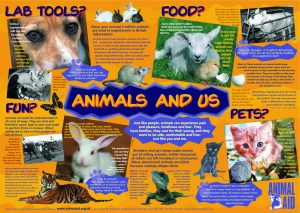 Animals and Us poster