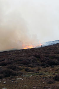 Burning on the moors