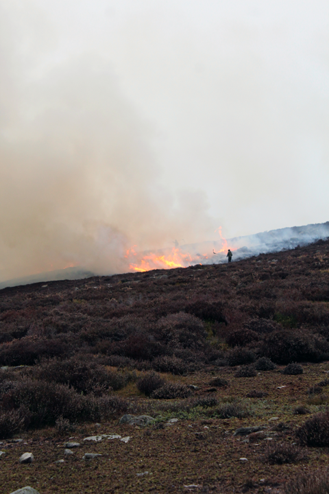 Burning on the moors