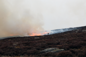 Burning on the moors