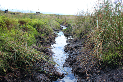 Drainage ditches on Bingley Moor