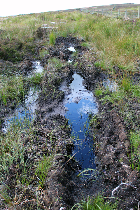 Tire tracks on Bingley Moor