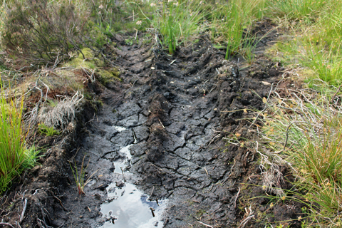 Tire tracks on Bingley Moor