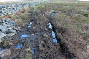 Tire tracks on Bingley Moor