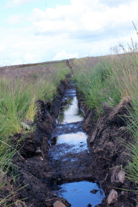 Drainage ditches on Bingley Moor
