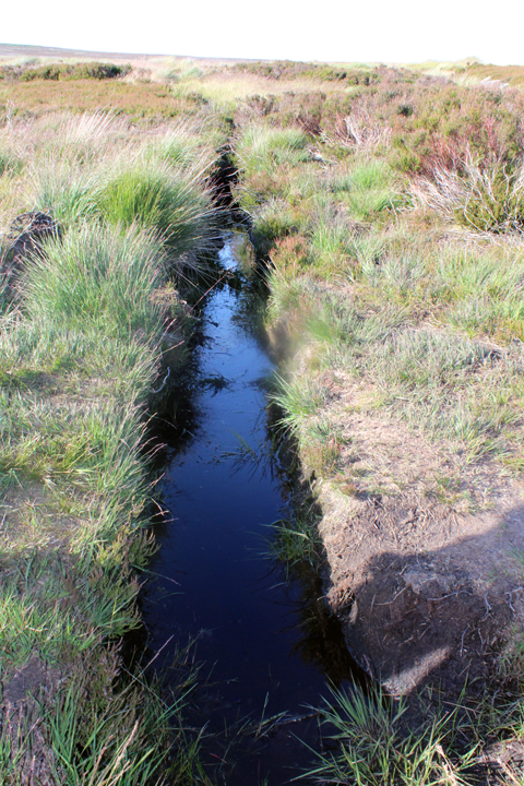 Drainage ditches on Bingley Moor