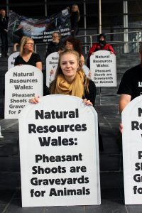 Protest against shooting on public land in Wales