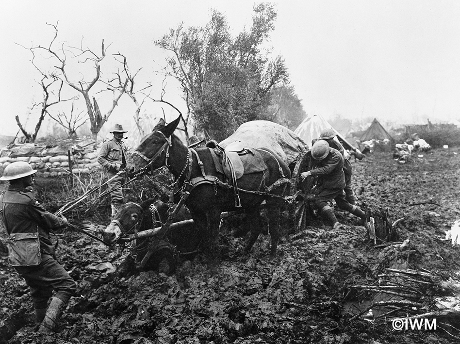Horse drawn wagon stuck in mud. (Source: Australian War Memorial)