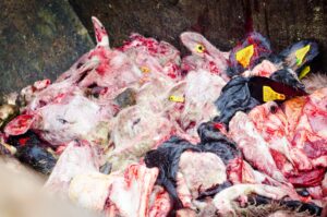 Valentine's Day vigil at Bramall & Son, South Yorkshire 2017