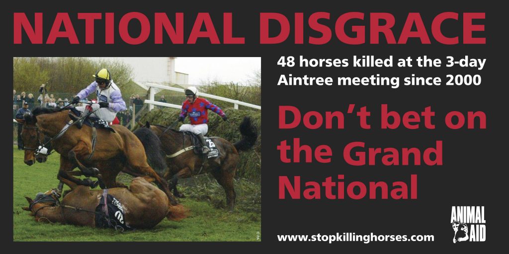 Grand National 48 deaths