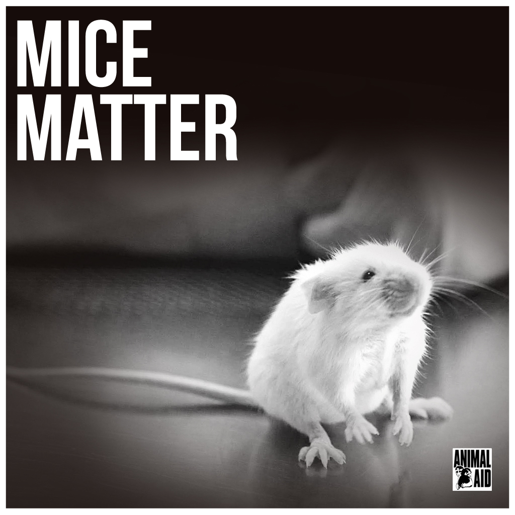 Mice Matter' - Animal Aid