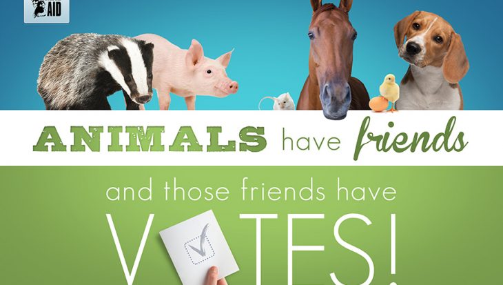 Animals have friends image