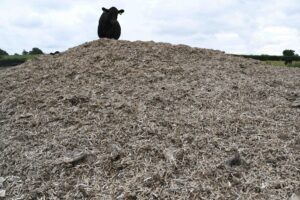 Heart of England Farms Ltd, filming happened during June and July