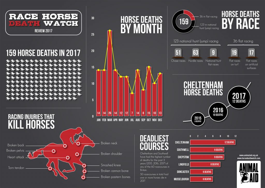 Animal Aid - Deathwatch Review 2017 Infographic