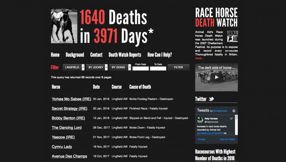 Lingfield racecourse horse deaths Jan 2018