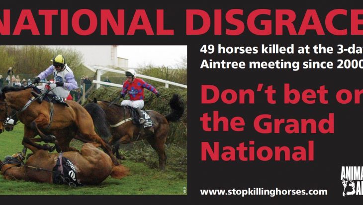 National disgrace
