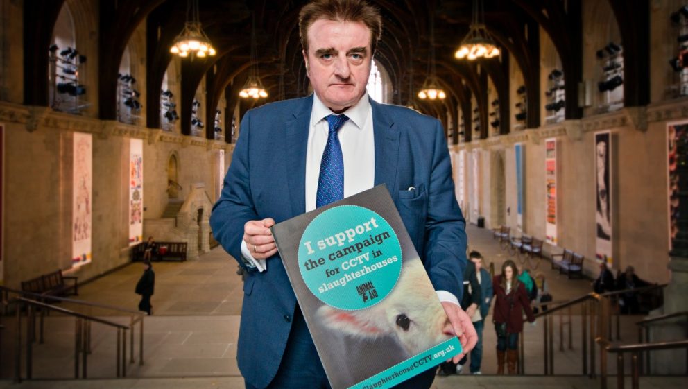 Tommy Sheppard MP supports CCTV in slaughterhouses