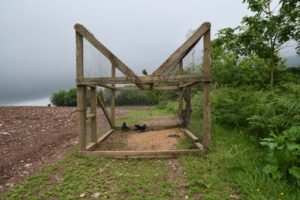 Chargot Estate investigation