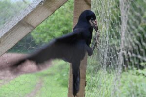 Chargot Estate investigation