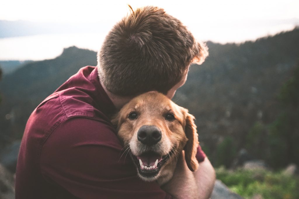 Dog photo by Eric Ward on Unsplash