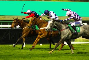 race horses being whipped Fotolibra