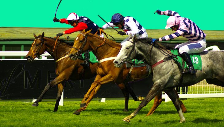 race horses being whipped Fotolibra