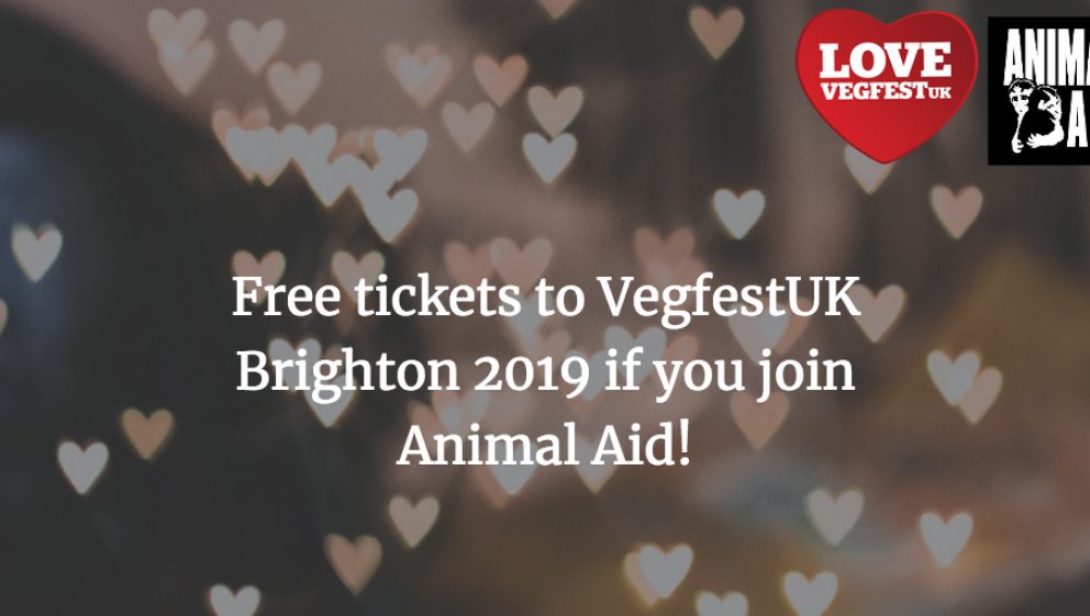 VegfestUK Brighton ticket and membership offer