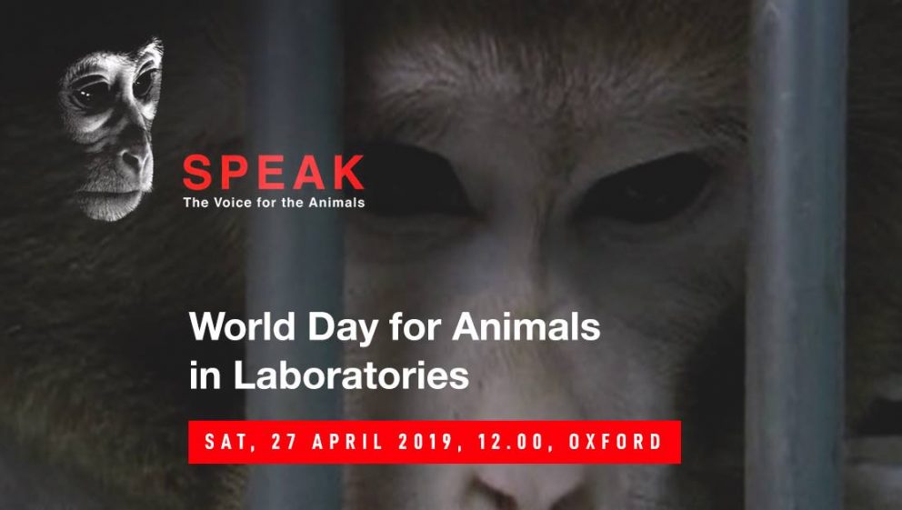 World Day for Animals in Laboratories 2019