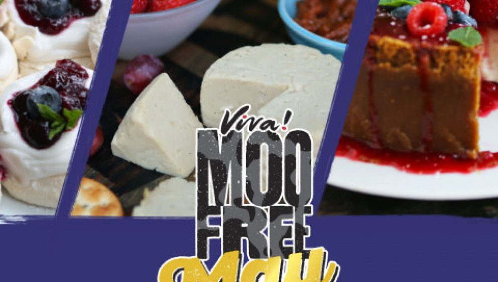Moo Free May