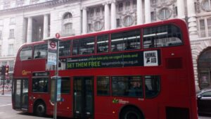 Set Them Free Bus Adverts