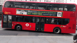 Set Them Free Bus Adverts