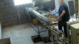 Pictures from Heart of England and Bettws Hall