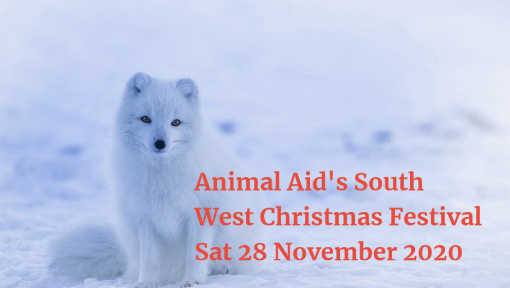 Animal Aid's South West Christmas Festival 2020