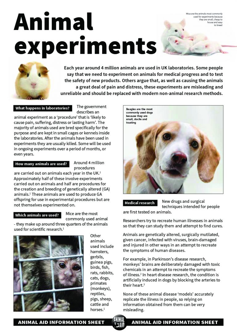 research articles on animal testing