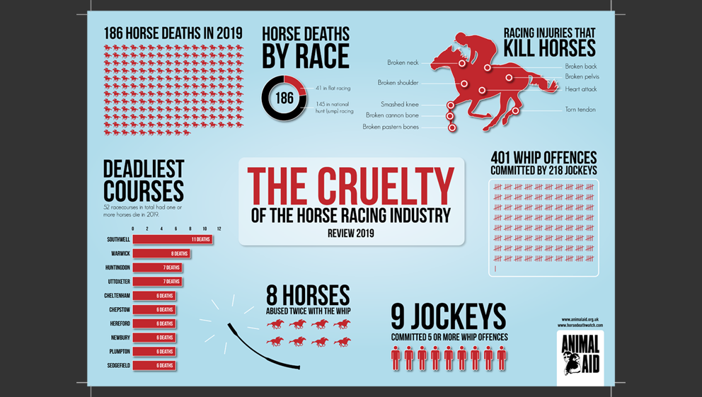 186 race horses killed in 2019 - Animal Aid