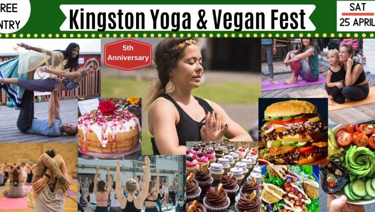 kingston yoga & vegan fest