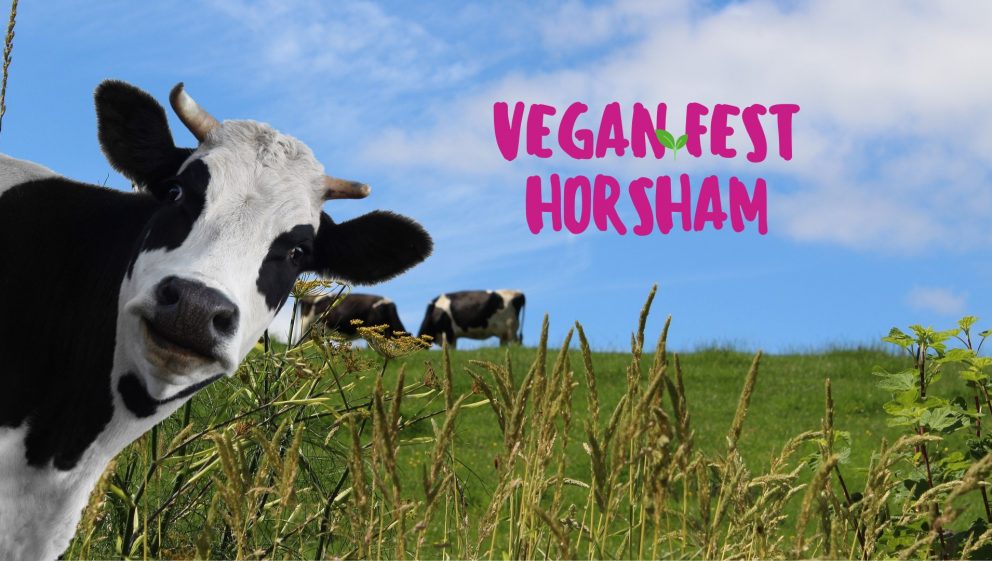 Veganfest Horsham