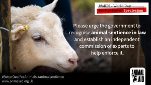 World Day for the End of Speciesism graphic 2