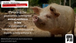 World Day for the End of Speciesism graphic 3
