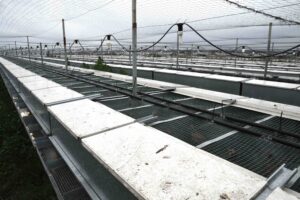 Pictures from game farm was located on land Southeast of Brome Hall Lane and South of Upper Oakley.