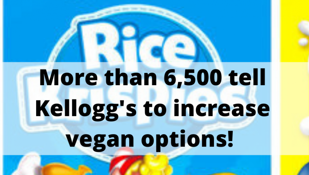 Kellogg's petition