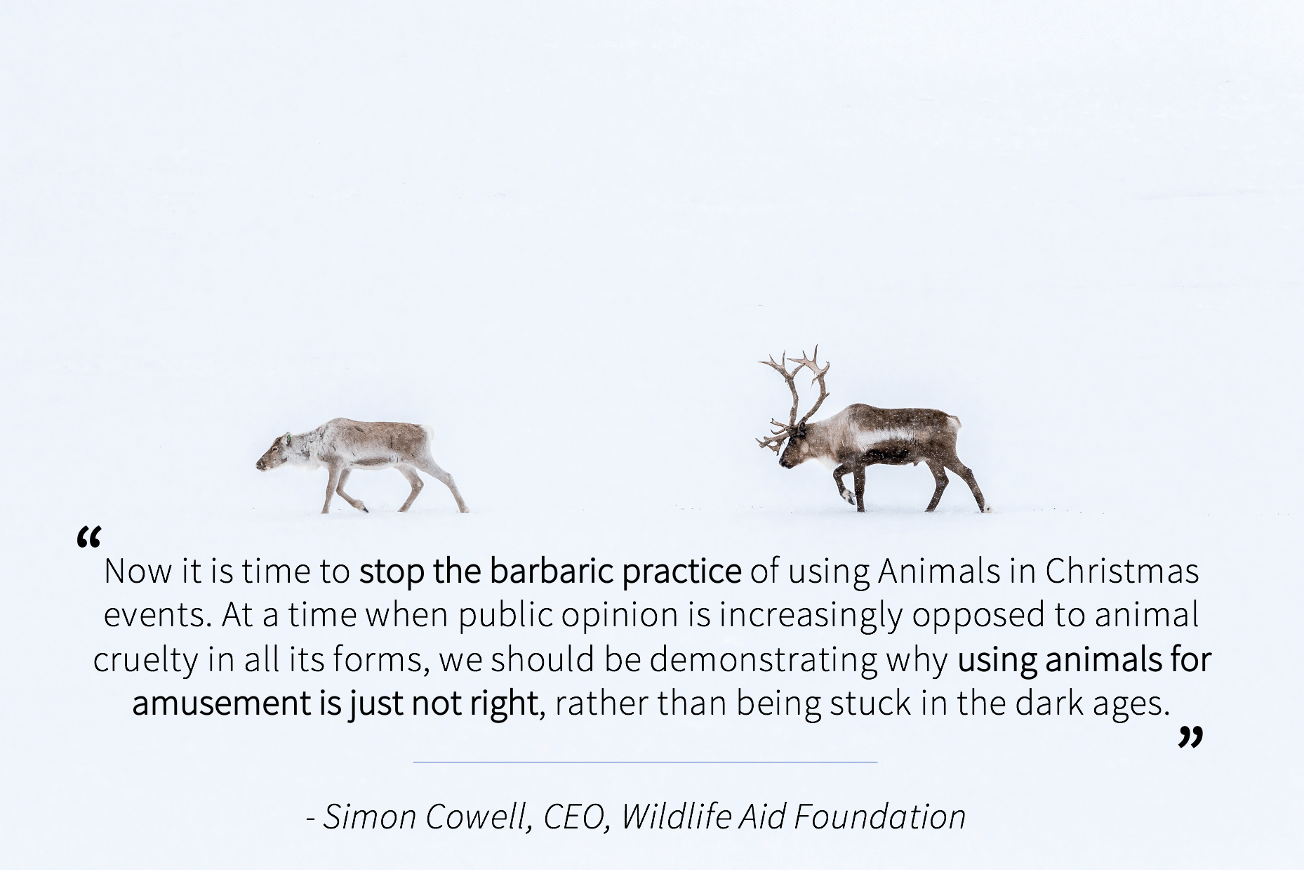Quote from Simon Cowell - stop using animals in Christmas events