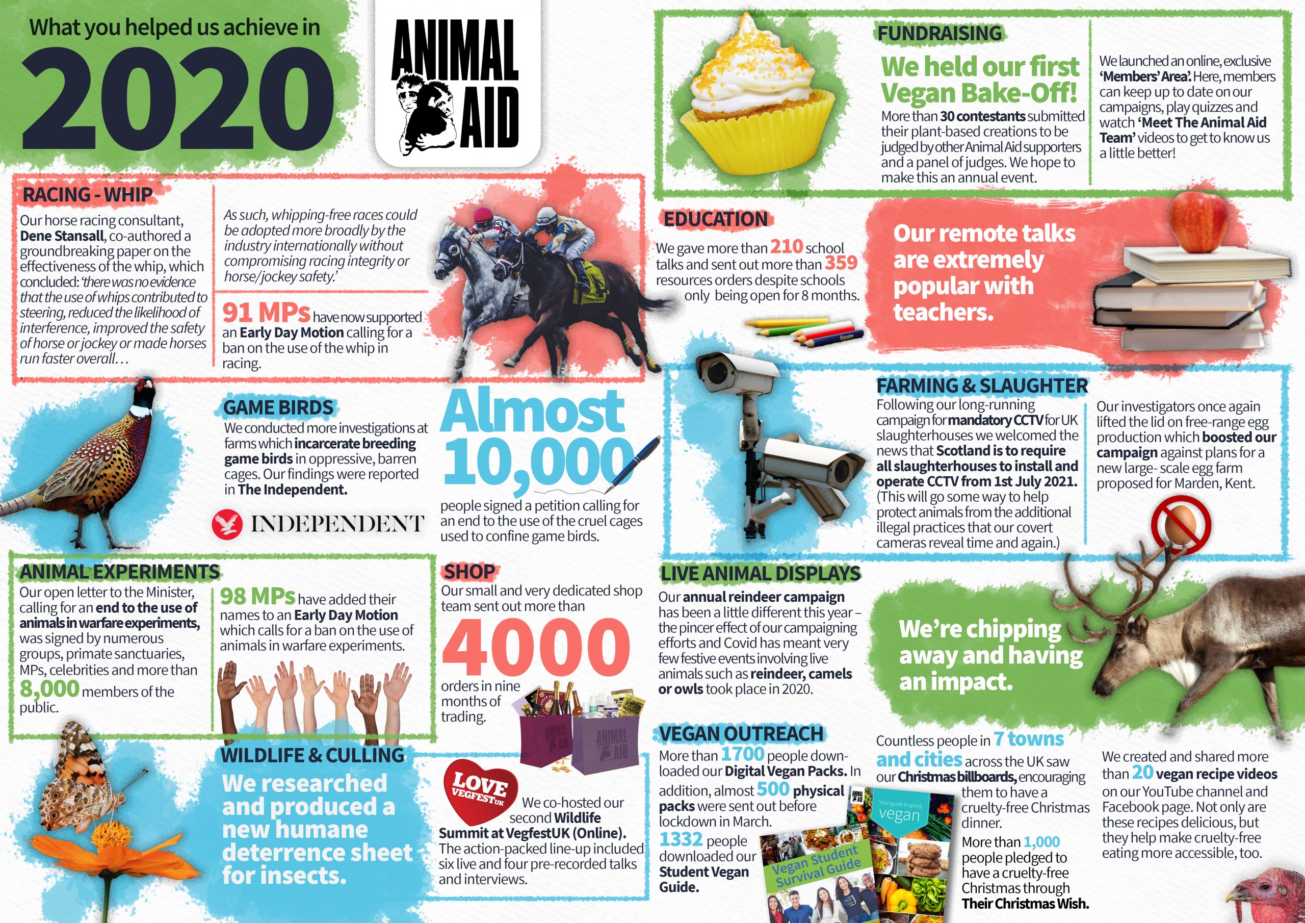 Our work in 2020 - Animal Aid