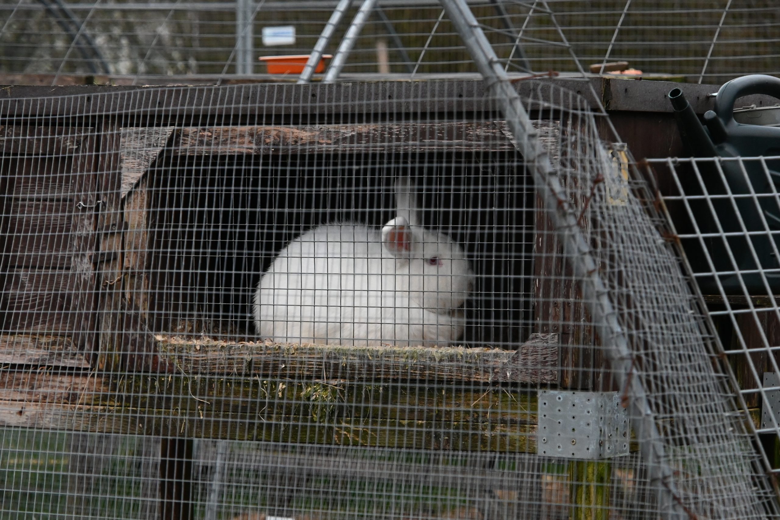 Tiny hutch