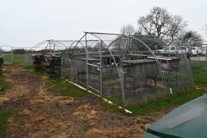 Barren hutches